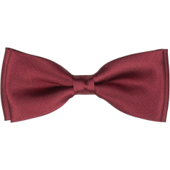 Vínově červený pánský motýlek lesklý