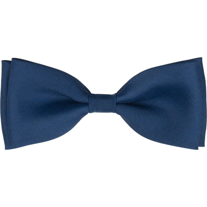 Blue Men's Matte Bow Tie