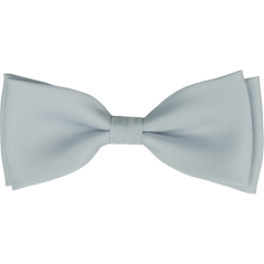 Light grey men's matte bow tie