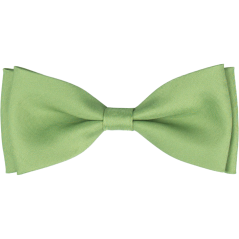 Pistáciově zelený pánský motýlek matný