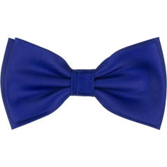 Královsky modrý pánský motýlek