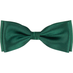 Smaragdově zelený pánský motýlek lesklý