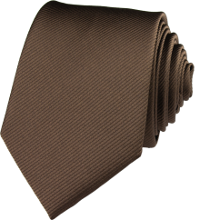 Brown Men's Necktie with Embroidered Stripes