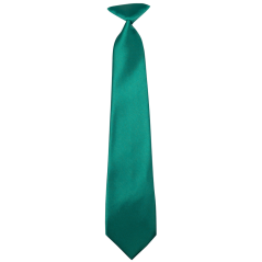 Petrol Green Children's Glossy Necktie