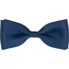 Blue Men's Matte Bow Tie
