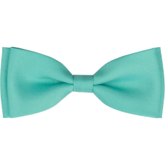 Mátový pánský motýlek matný