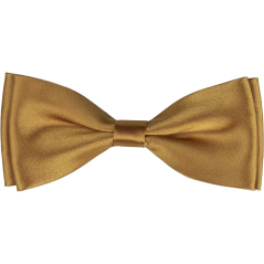 Bronzový pánský motýlek lesklý