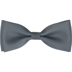 Grey Men's Matte Bow Tie